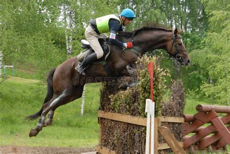 Chestnut horse jumping editorial photo. Image of country - 11349946