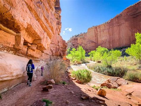 Hiking Hickman Bridge Trail in Capitol Reef National Park - Family Can ...