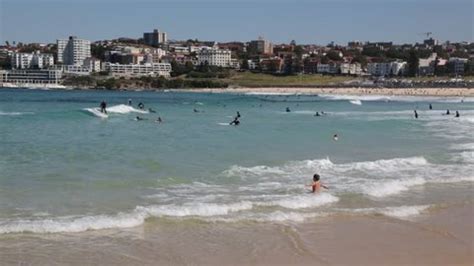 Australiasydneycirca August 2017unidentified People Surfer Beach Stock Footage Video (100% ...