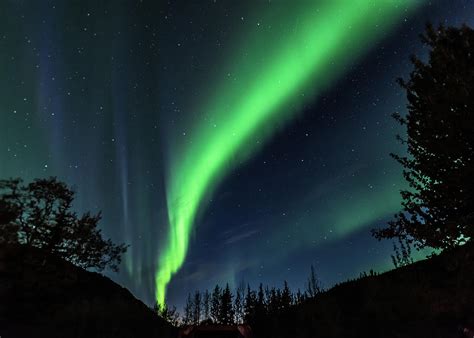 Aurora Borealis, Northern Lights in Denali National Park Photograph by Brenda Jacobs - Pixels