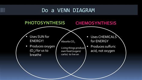 Chemosynthesis Diagram