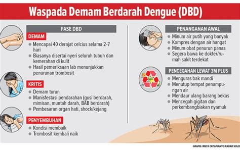 Kenali Penyebab Penyakit Demam Berdarah - Artikel Kesehatan