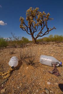 Desert Water Bottles | We found these in the desert strewn a… | Flickr