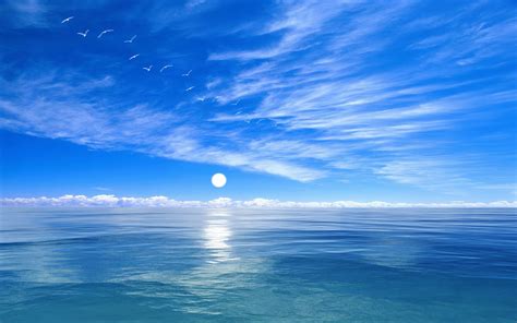 Download Horizon Sea Ocean Moon Seagull Blue Nature Sky HD Wallpaper