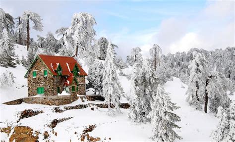 Troodos mountains in snow. House surrounded by snow in Troodos mountains, Cyprus , #affiliate, # ...