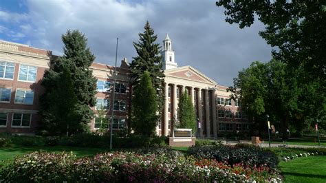 colorado-state-university-online-psychology - Online Psychology Degree Guide