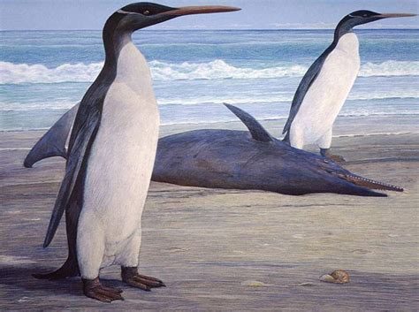 Scientists rebuild giant penguin: 5 stories you might have missed - cleveland.com