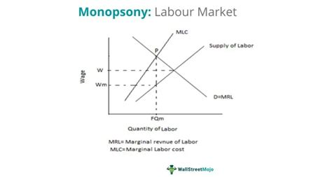 Monopsony - Definition, Power, Market Examples & Graph