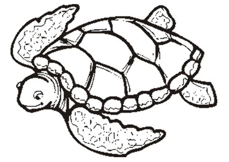 Sea Turtle Outline - Cliparts.co