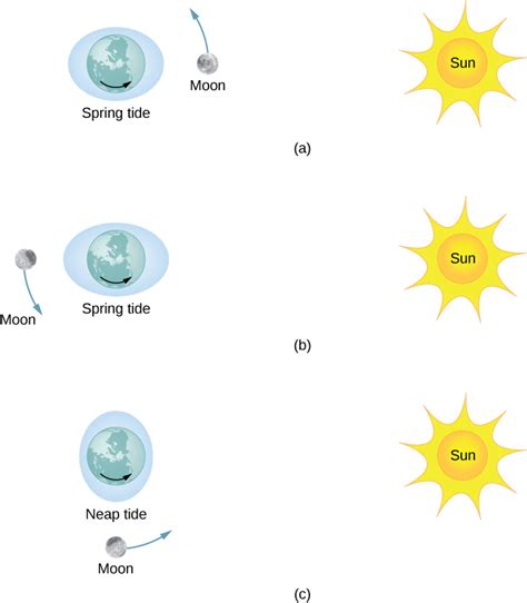 Tides Diagram