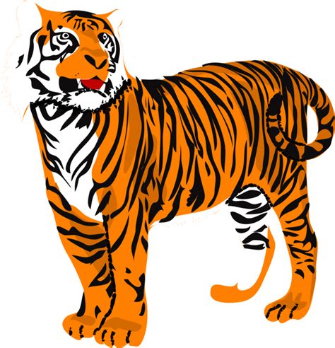 Download High Quality tiger clipart vector Transparent PNG Images - Art ...