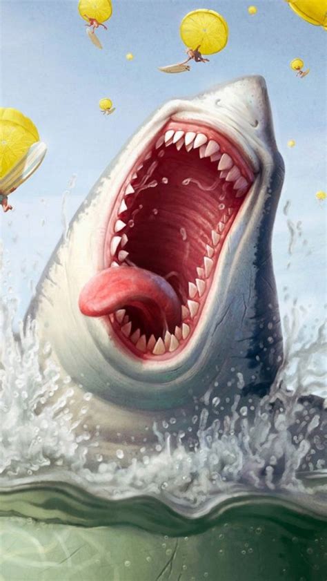 Funny Shark | Shark illustration, Shark art, Shark painting