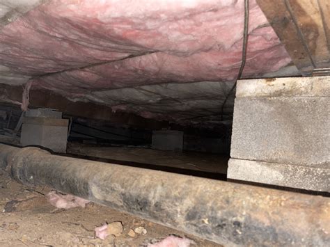 Crawl Space Insulation 101: The What, Why, and How - Elite Insulation ...