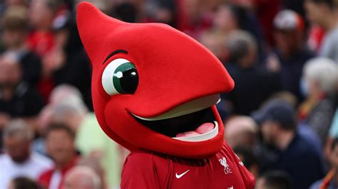 Liverpool advertising for new 'Mighty Red' mascot as club demand 'strong communication skills ...