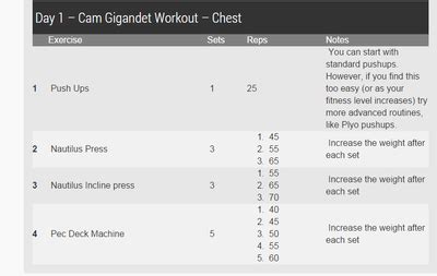 Cam Gigandet Workout Routine - Magniphisique