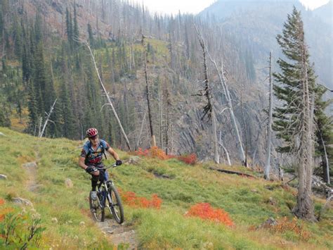 Alpine Trail #7 Mountain Bike Trail in Bigfork, Montana || SINGLETRACKS.COM