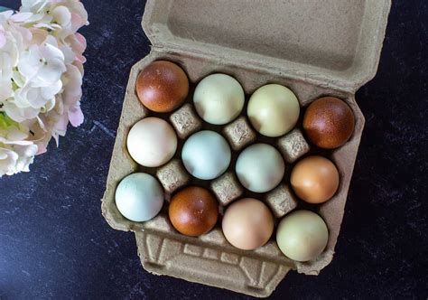 Vintage Egg Cartons 4x3