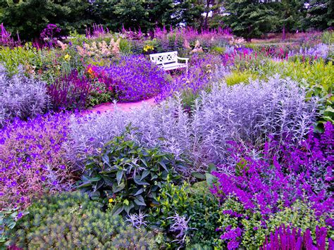 PURPLE GARDEN | Quite a lot of purple tweakery has gone on h… | Flickr