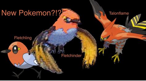 NEW Fletchling evolution Fletchinder Pokemon X and Y news - YouTube