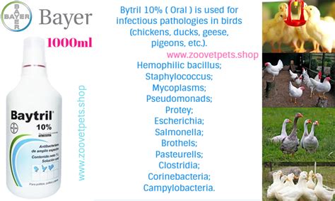 Injectable Baytril Dosage Chart