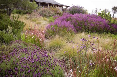 Expert Advice: 8 Tips for a Meadow Garden from Grass Guru John Greenlee ...