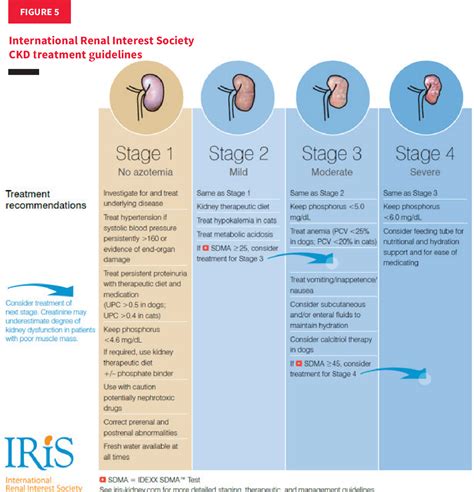 Figure 5 from A Practical Approach to Using the IRIS CKD Guidelines and the IDEXX SDMA ® Test in ...