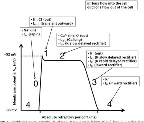 Figure 1 from Modeling of generation and propagation of cardiac action ...