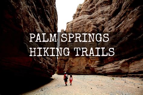 Palm Springs Hiking Trails | Outside the Cage