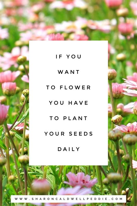 Plant seeds daily for your growth | Inspirational quotes, Plants quotes ...