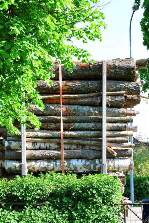 Large Timber Transport Truck Stock Photo - Image of natural, logs ...