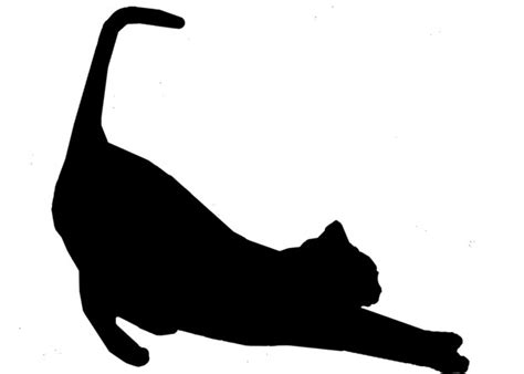 Cat Stretch Silhouette In Black Free Stock Photo - Public Domain Pictures