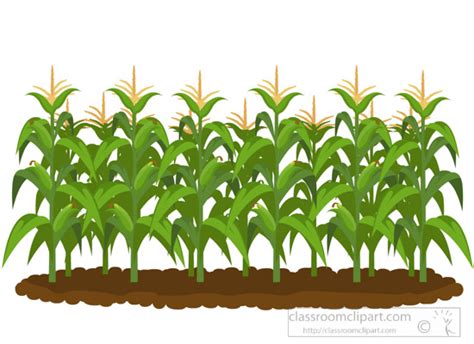 Crops clipart cornfield, Crops cornfield Transparent FREE for download ...