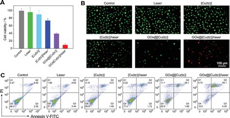 A) Cell viability, B) live/dead staining images, and C) flow cytometry... | Download Scientific ...