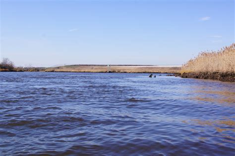 Kayak Northeast: Raritan River NJ Sayreville - to I95 November 21st 2010