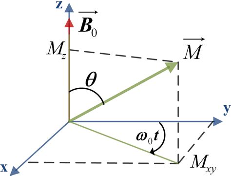 Magnetization vector representation in the static frame. | Download Scientific Diagram