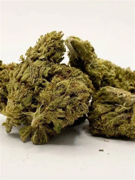 G13 Strain Review from HDIGW