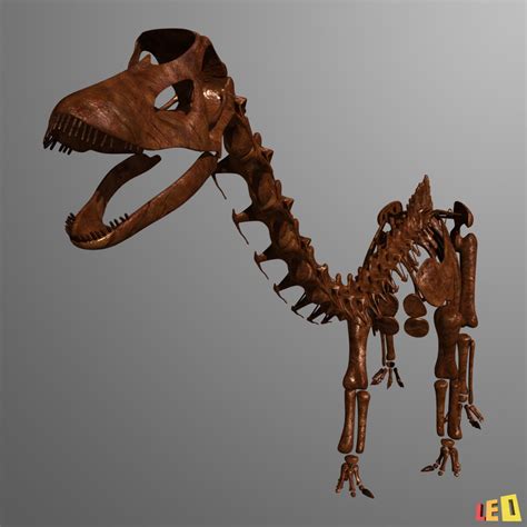 3d dino skeleton diplodocus bones