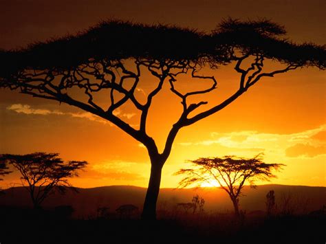 Pin by Sabil El Houdé Chahbi on sunsets | African sunset, Africa sunset ...