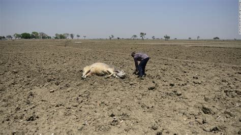 Monsoon may not solve India's drought crisis - CNN.com