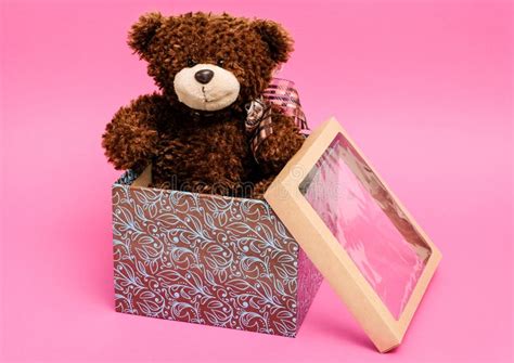 Gift box with a teddy bear stock image. Image of gift - 123566035