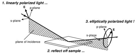 Interaction of polarized light with a sample. | Download Scientific Diagram