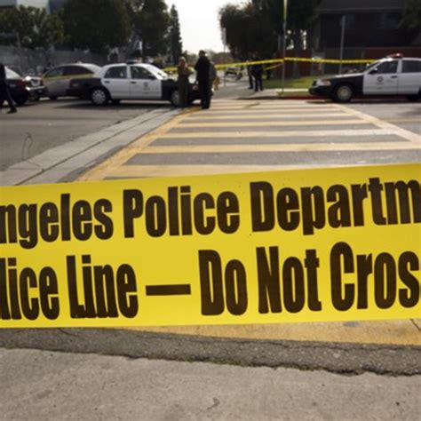 Crime in Los Angeles Data from 2020 to Present | Kaggle