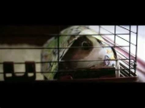 Bedtime Stories - Bugsy (from the entire film) - YouTube | Bedtime stories, Inspirational videos ...