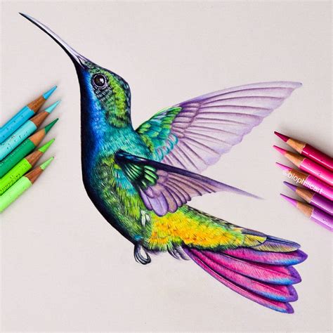 Original Artwork page 1 | Hummingbird drawing, Colored pencil artwork, Color pencil art