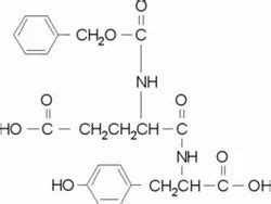 Pepsine Enzyme