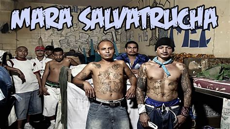 La Mara Salvatrucha || Documental Español - YouTube