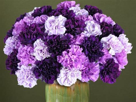 History and Meaning of Carnations - ProFlowers Blog | Carnation flower, Purple carnations ...