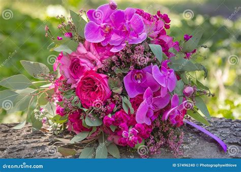 Pink and Purple Wedding Bouquet Stock Photo - Image of purple, nature: 57496240