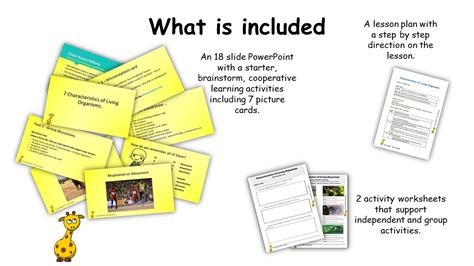 Great Worksheet - 7 Characteristics of Living Organisms - Identify the ...