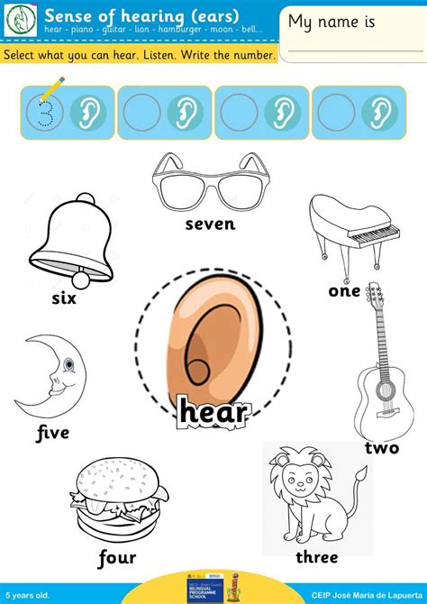 Sense Of Hearing Worksheet